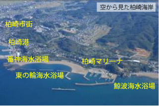 󂩂猩C