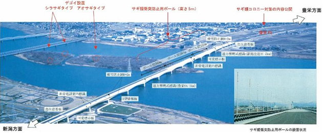 対策の全体概要