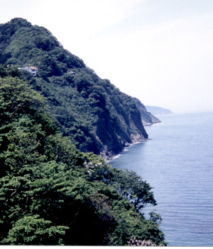 esmC