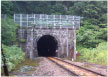 zgl